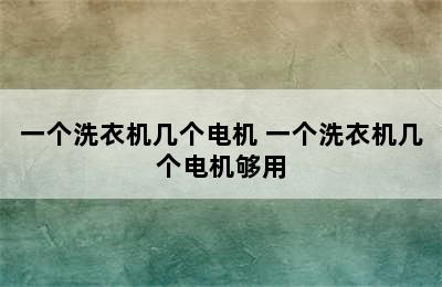 一个洗衣机几个电机 一个洗衣机几个电机够用